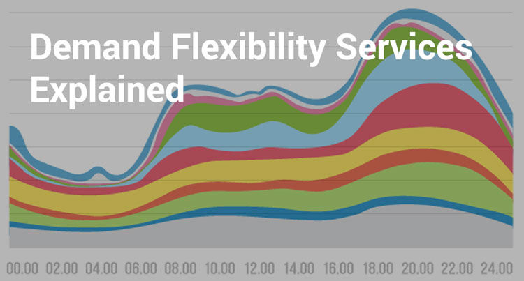 Demand Flexibility Service explained